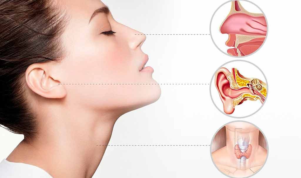 أخصائية أمراض وجراحة الأنف والأذن والحنجرة ✅